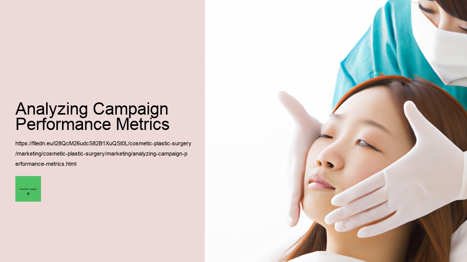 Analyzing Campaign Performance Metrics