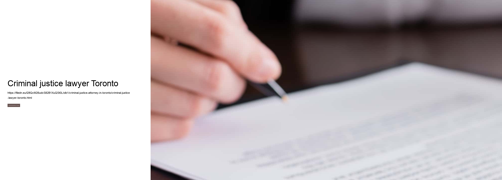 Criminal justice lawyer Toronto