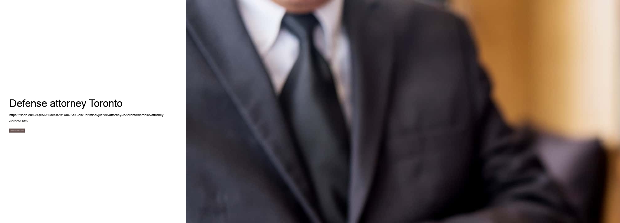Defense attorney Toronto