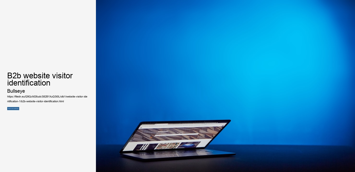 b2b website visitor identification