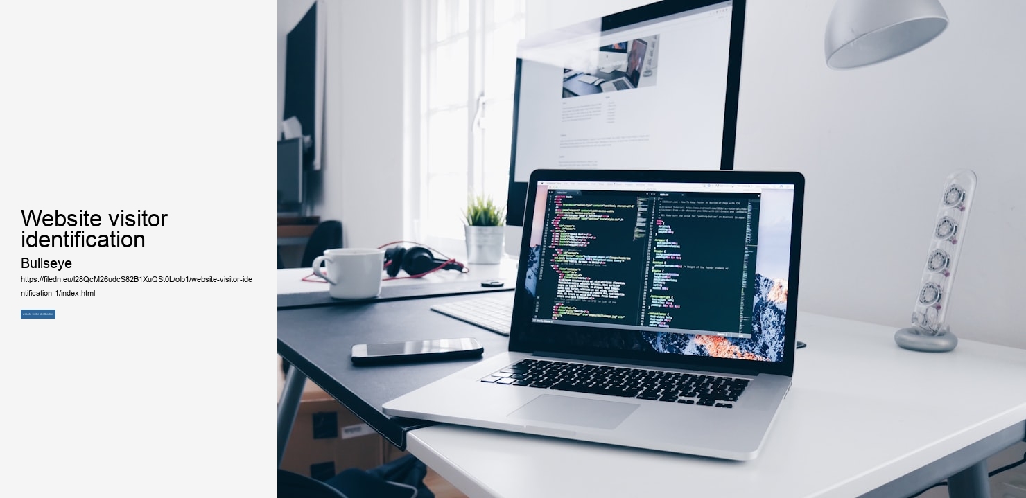 website visitor identification