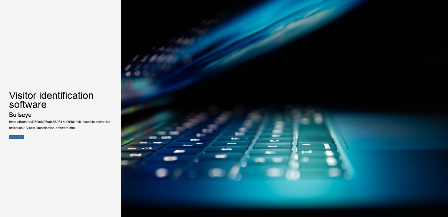 visitor identification software