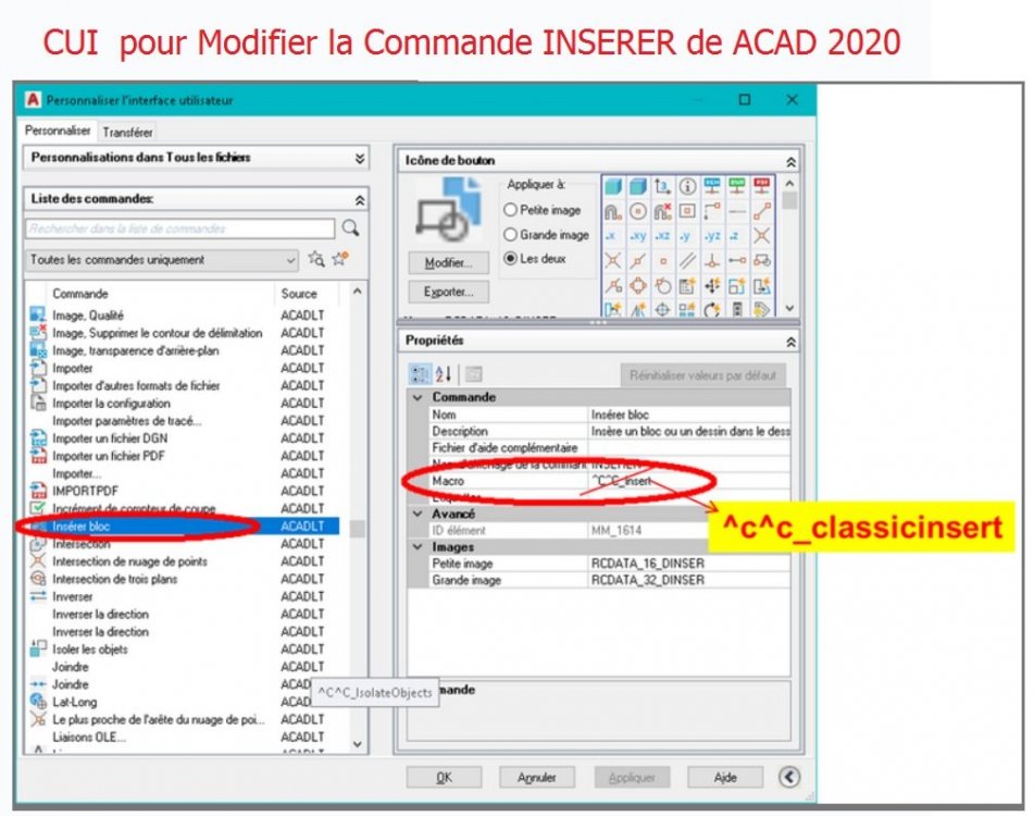 2020__CLASSICINSERT____Modif_CUI.jpg