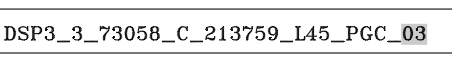 image.png.034950cf2a7e71136a3317b24f817b1f.png