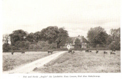 BoeelHansLausen