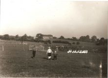 Gaenselieseln