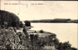 Langsee, Blickauf Waldlust