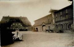 Saustrup1917