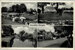 Steinfeld 1952
