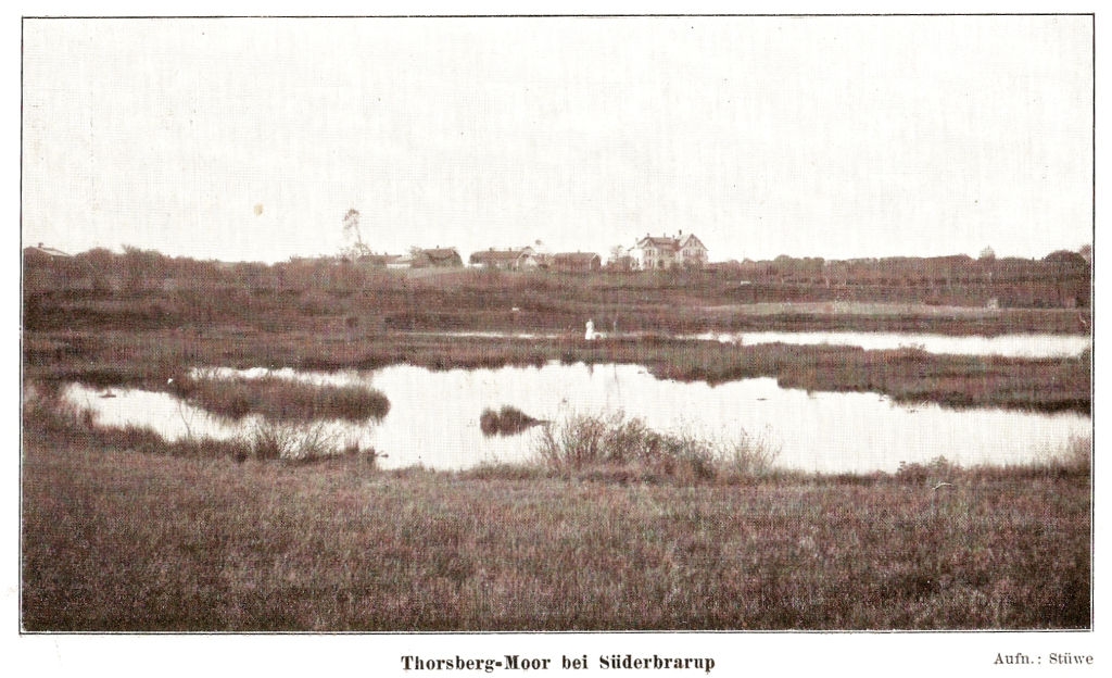 ThorsbergerMoor