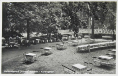 WaldwirtschaftHueholz