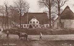 Brebelholz