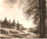 Muehlenredder