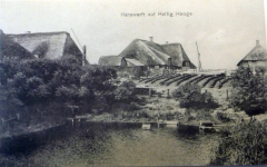 HoogeHanswarft