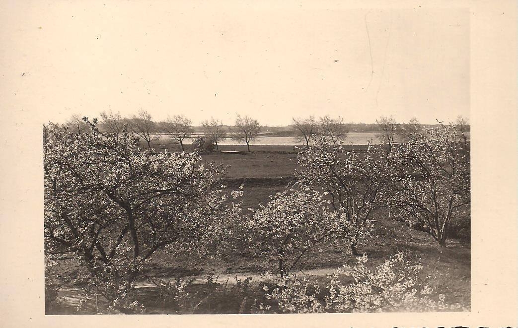 UnserGarten-imFruehling