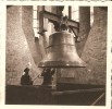 glocke19