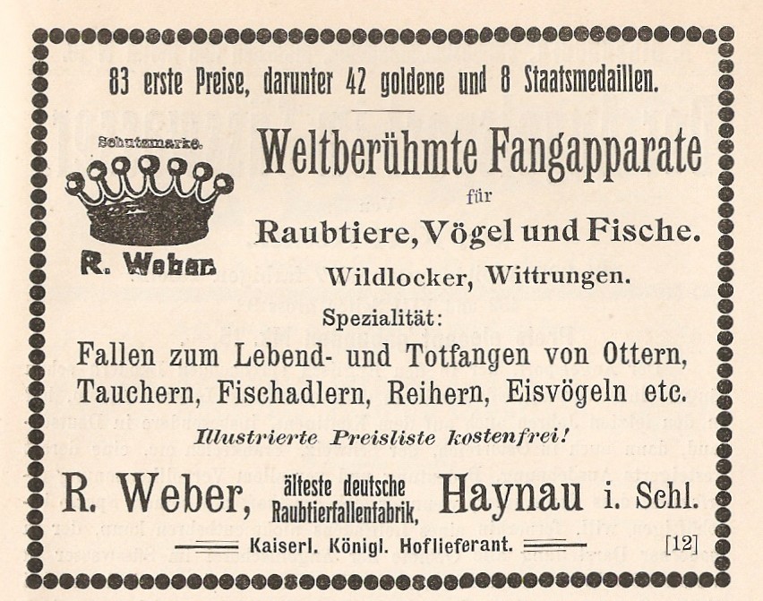 Anzeige 1905