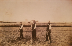 Feldarbeit