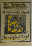 Schleswig, Abstimmung