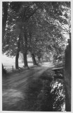 Gottorfer Muehlenbach