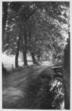 Gottorfer Muehlenbach