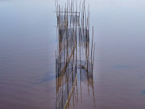 Drage-Netze