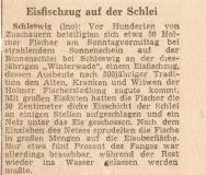 Eisfischzug