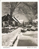 Holm im Winter