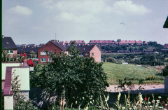 Erbeerenbeg1966