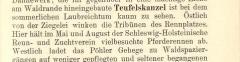 Pferderennen1905-2