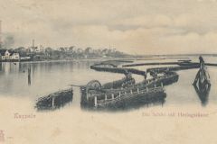 KappelnHeringszaeune1901