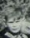 t-pagel