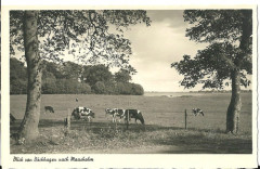 Blick von Buckhagen nach Maasholm