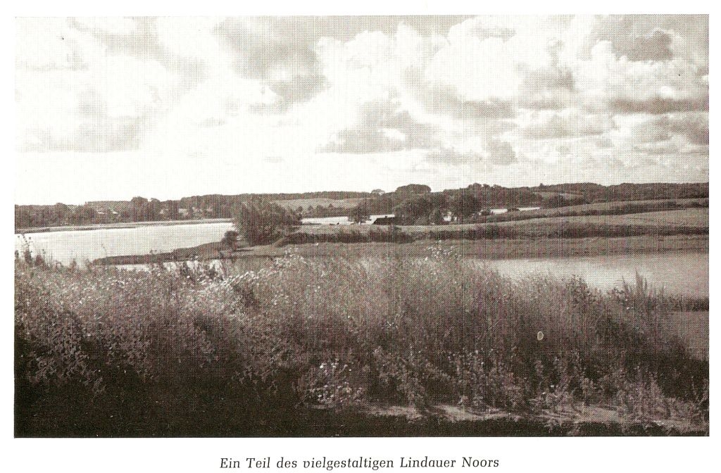 LindauerNoor1954