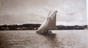 Schlei 1958