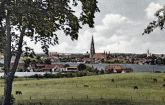 SchleiblickWiese