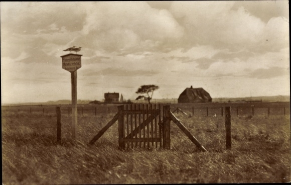 VogelfeistaetteOeheSchleimuende