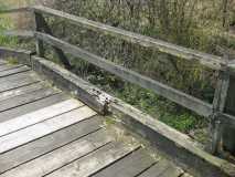 brueckeueberdiefuesingerau