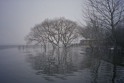 hochwasser08