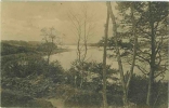 langsee1918