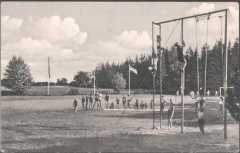 niederselk1