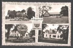 scheggerott