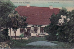 Steinfeld 1916