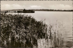 Ulsnis1962