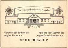 VAR-u-VAZ-Suederbrarup