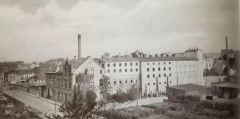 Rasch, 1903