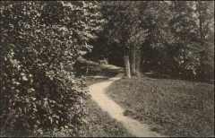 derwald1910