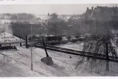 Schlei, Domschule