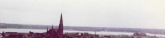 Fernblick