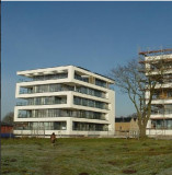 Perspektive
